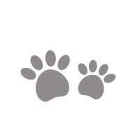 icono - - Reserva San Lorenzo